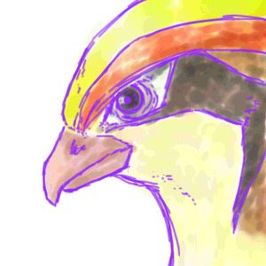 �T�g�V�̃s�W���b�g�̂���