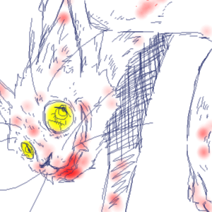 �I���W�i���E���L