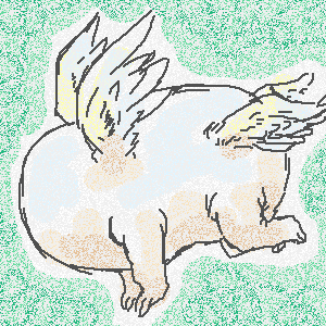 �I���W�i���E�����_�b���